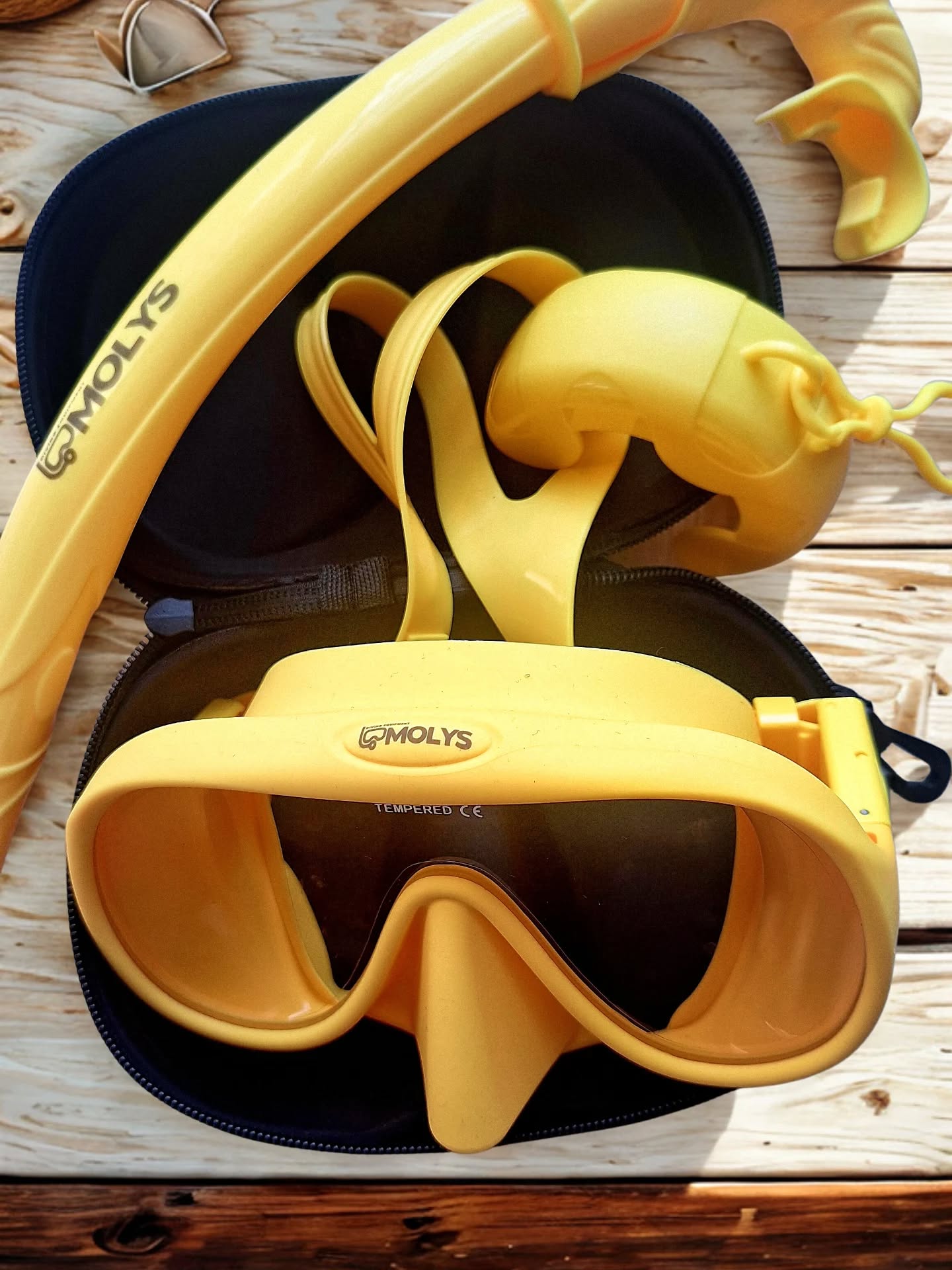 MOLYS DIVE KATEGORİSİ