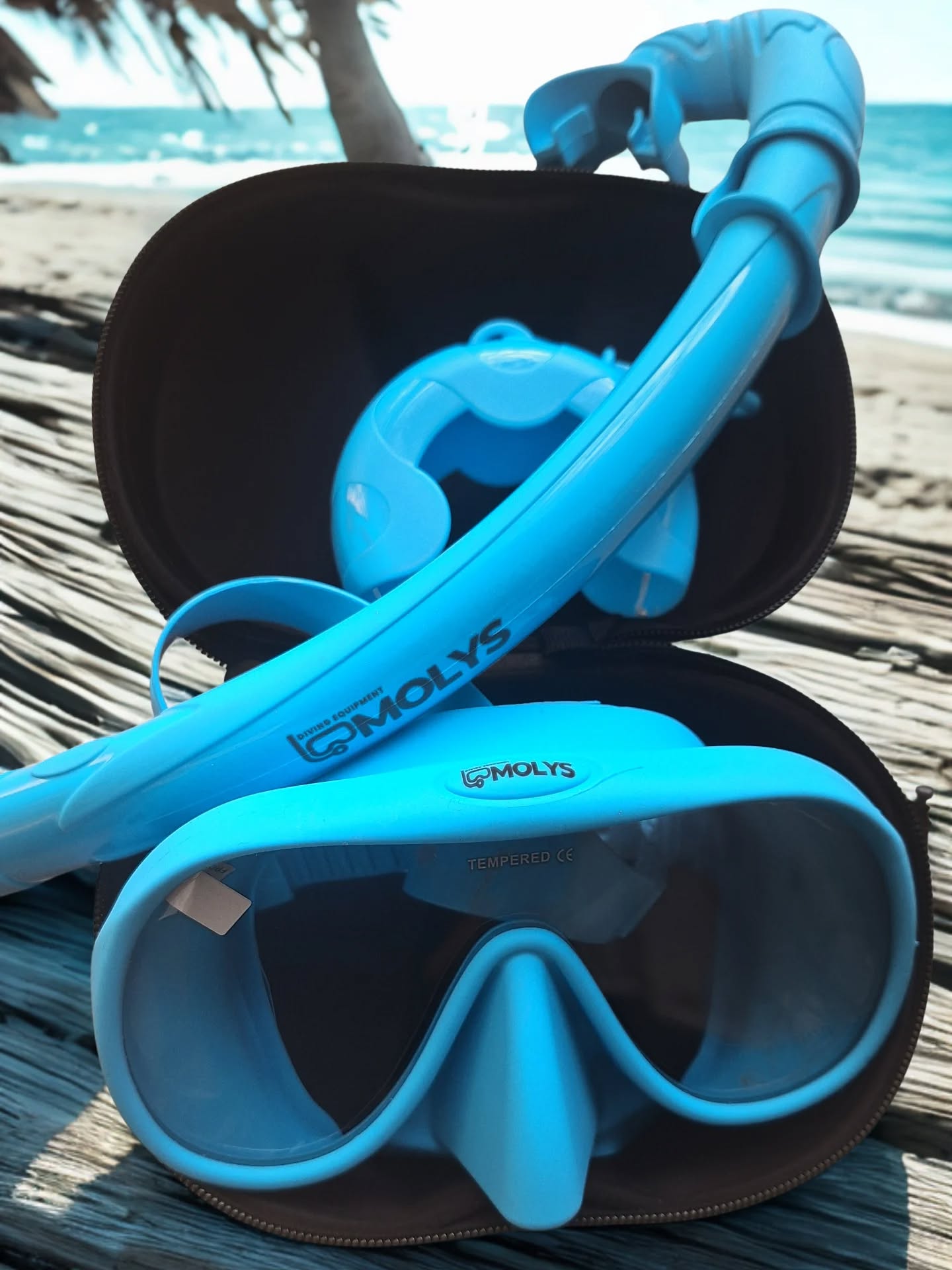 MOLYS DIVE KATEGORİSİ